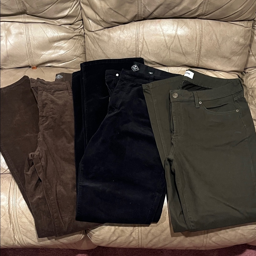 Stylish Pants Set in Black, Brown, and Olive